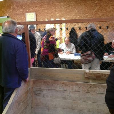 Les concours de boules